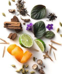 Newspac.shop29436076ae 2