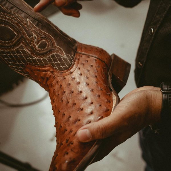 Newspac.shop3ca85b6866 2