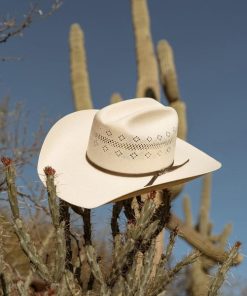 Newspac.shop40ef6dc024 4