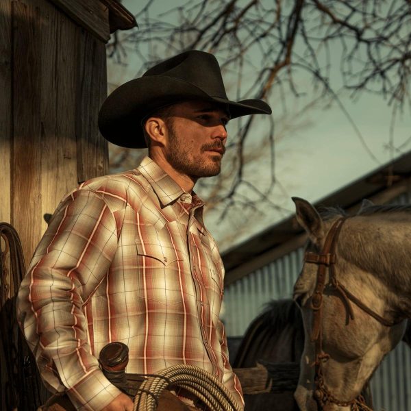 Newspac.shop8f51bb33c1 3