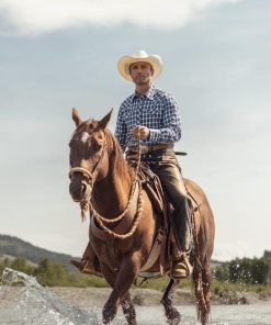 Newspac.shopd862ec6c87 2