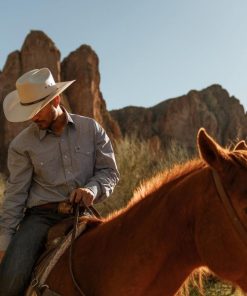 Newspac.shopdd4f388679 2